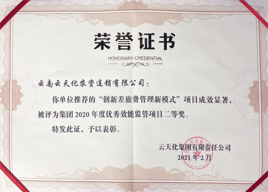 農(nóng)資-2020-集團“優(yōu)秀效能監(jiān)察項目”...